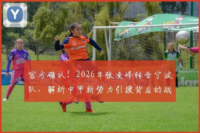 官方确认!2026年张凌峰转会宁波队,解析中甲新势力引援背后的战术考量